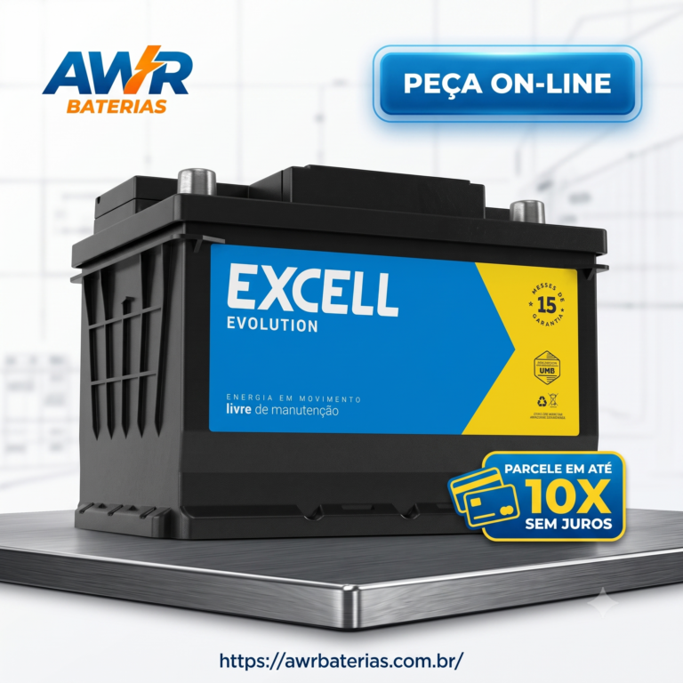 Bateria Excell 100Ah